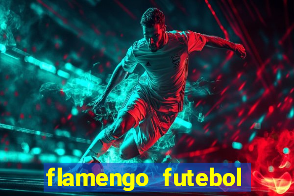 flamengo futebol play hd